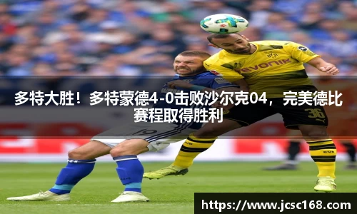 bsports登录入口