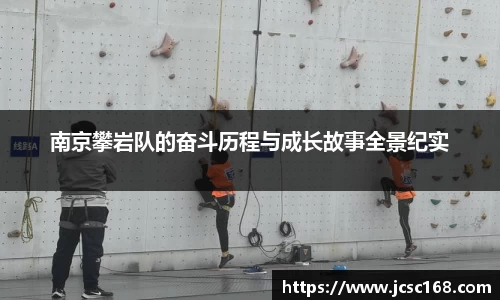 bsports官网入口