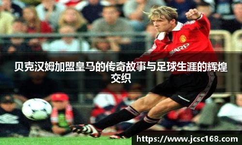 bsports官网入口