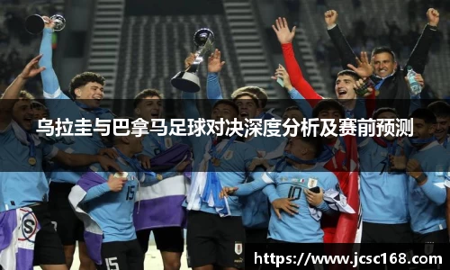 bsports登录入口