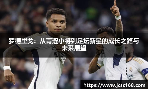 Bsports网页版
